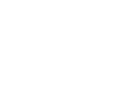 Electric Video Client logo